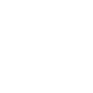 sanjay hydraulics logo (white)
