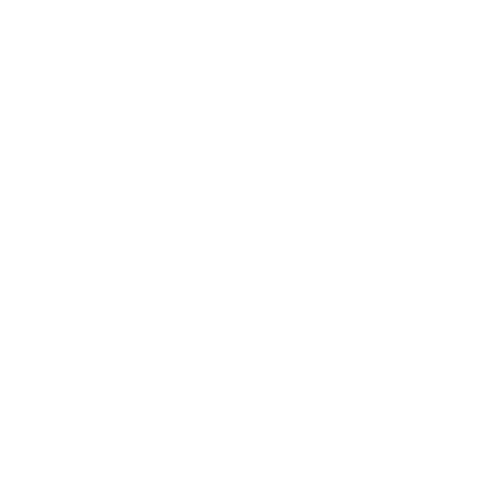 sanjay hydraulics logo (white)